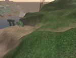 Some grass...
