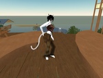 Fleabite Beach (Cat)